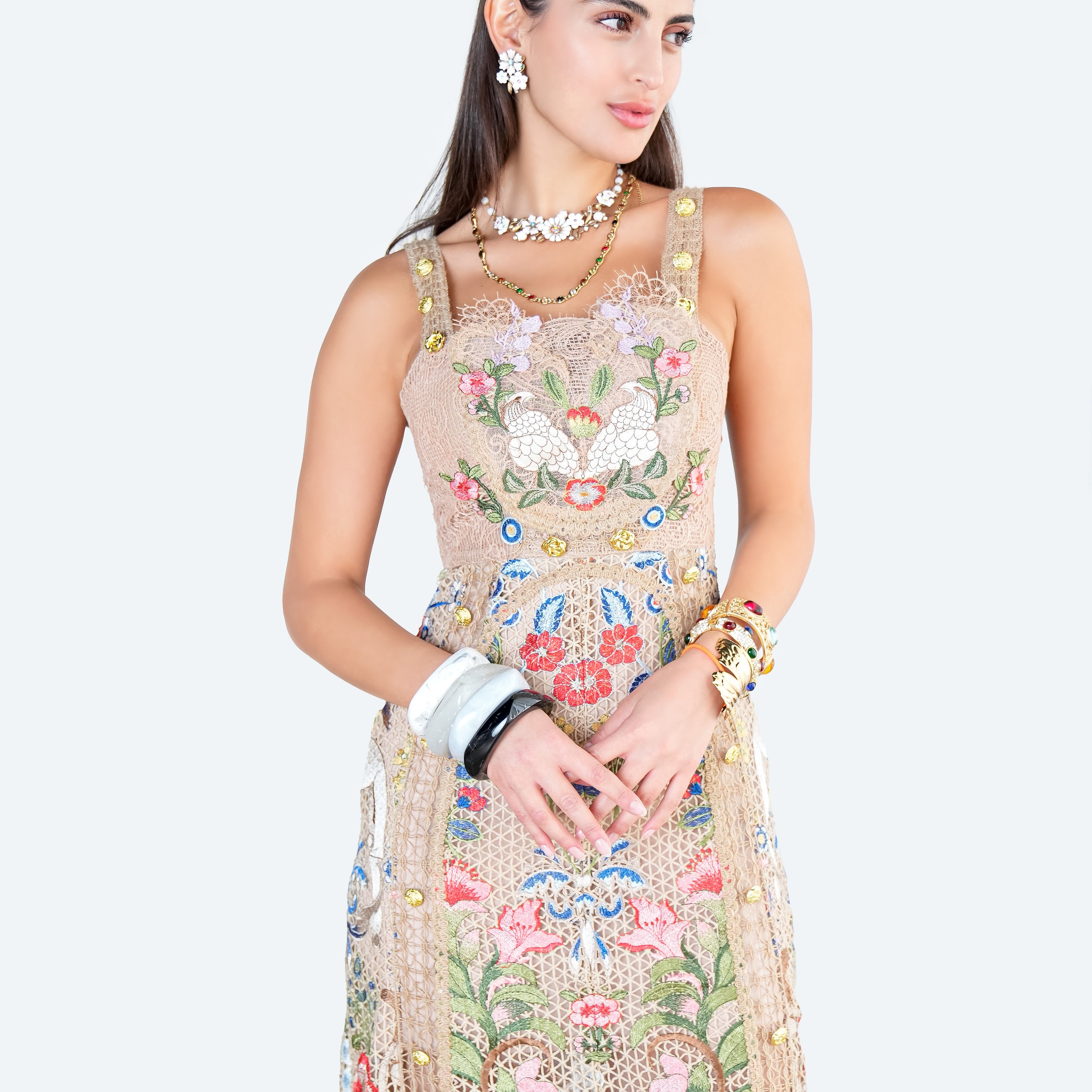Golden Garden Embroidered Dress