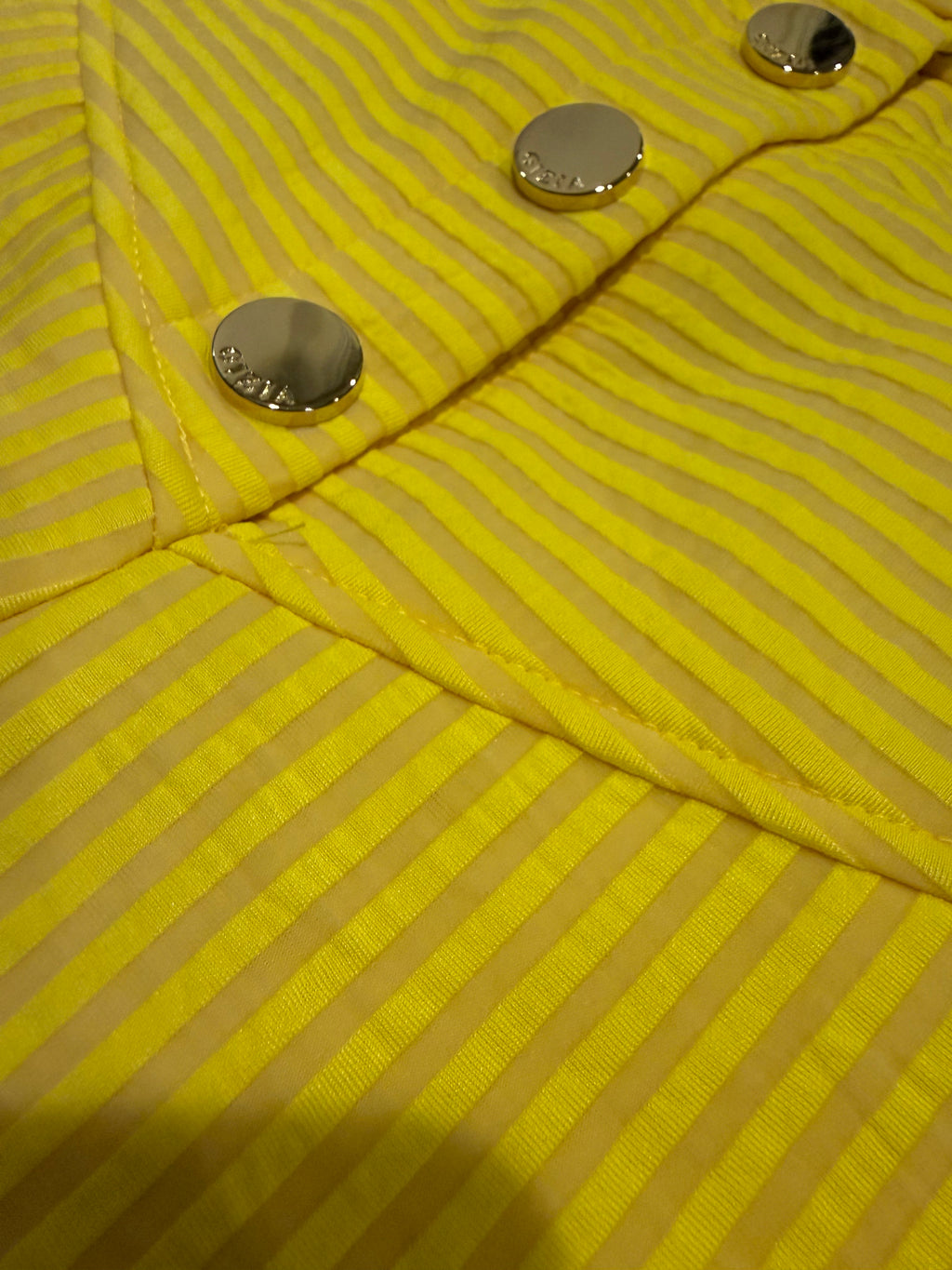 Sunbeam Striped Tailored Pants